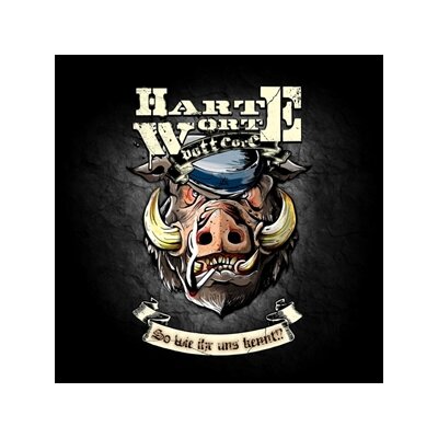 HARTE WORTE - SO WIE IHR UNS KENNT?! (SCHWARZES VINYL) - LP