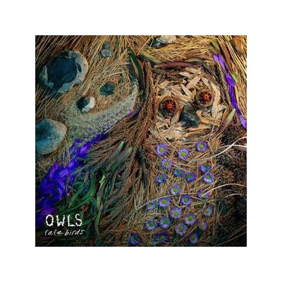 OWLS - RARE BIRDS - CD