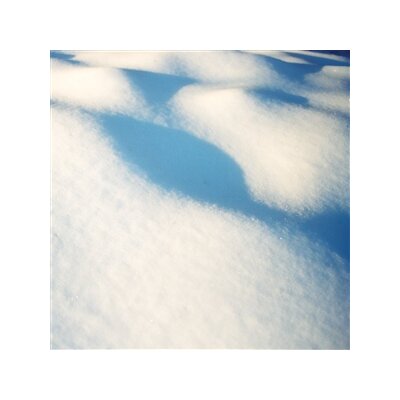 FLORE LAURENTIENNE - 8 TABLEAUX - LP