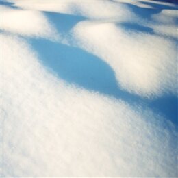 LAURENTIENNE, FLORE - 8 TABLEAUX - LP