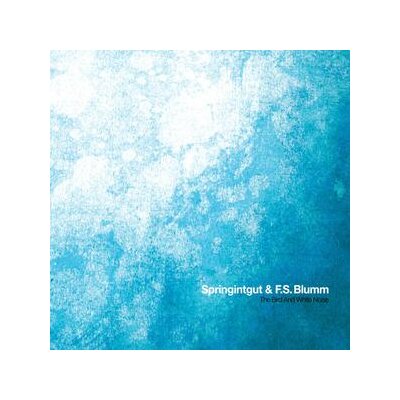 SPRINGINTGUT & F.S.BLUMM - THE BIRD AND WHITE NOISE - LP