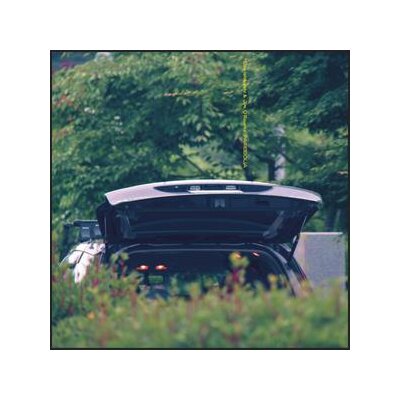 EIKO ISHIBASHI & JIM OROURKE - PAREIDOLIA - LP