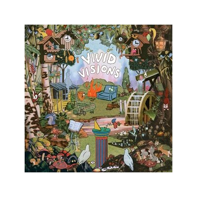 EXPERT, THE - VIVID VISIONS - LP