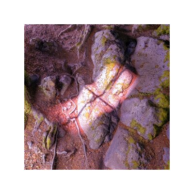 RUSHFORD, JAMES - LAKE FROM THE LOUVERS - LP