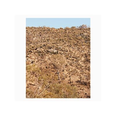 PEKLER, ANDREW & IELASI, GIUSEPPE - PALIMPSESTS - LP