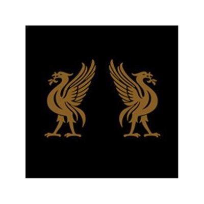 CAPE, JOEY - LIVERBIRDS - CD