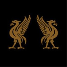 CAPE, JOEY - LIVERBIRDS - CD