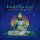 BUDDHA BAR PRESENTS/VARIOUS - BUDDHA-BAR [BY RICH VOM DORF & RAVIN] - CD