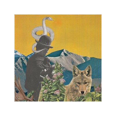 GRAVES, LESLIE & GOODSHANK, TOBY - BETWEEN WORLDS  (CRYSTAL CLEAR VINYL) - LP