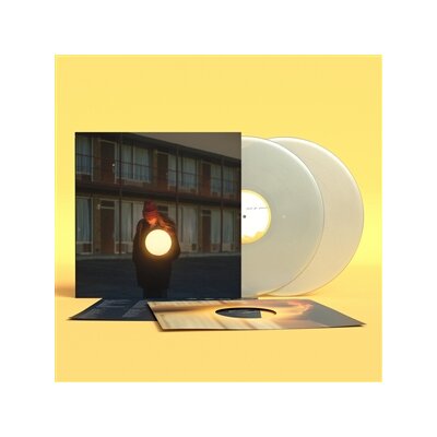 FLOCK OF DIMES - THE LIFE YOU SAVE  (PEARL VINYL) - LP