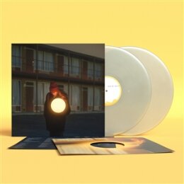 FLOCK OF DIMES - THE LIFE YOU SAVE  (PEARL VINYL) - LP