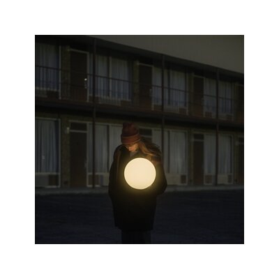 FLOCK OF DIMES - THE LIFE YOU SAVE - CD