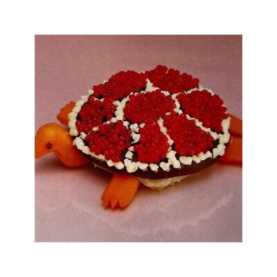 SHARP PINS - TURTLE ROCK - LP