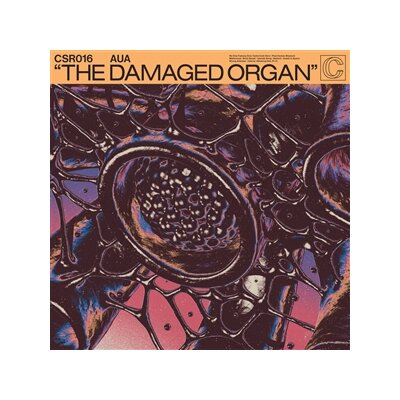 AUA - THE DAMAGED ORGAN - LP