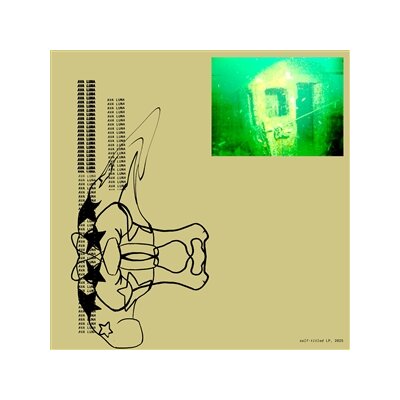 AVA LUNA - AVA LUNA (TRANSLUCENT GRAPE VINYL) - LP