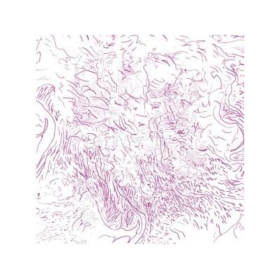 SKINNER, TOM - VOICES OF BISHARA (REISSUE) - CD