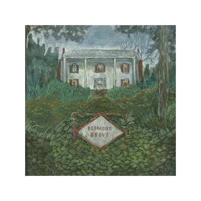 WEIRS - DIAMOND GROVE - CD