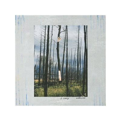 CAREY, S. - WATERCRESS - 12"