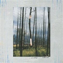 CAREY, S. - WATERCRESS - 12"