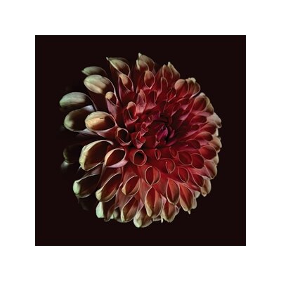 MOSS, JESSICA - UNFOLDING - LP