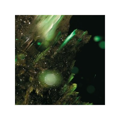 ABRAHAM - IDSUNGWÜSSÄ - CD