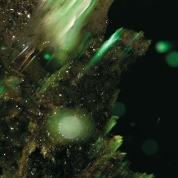 ABRAHAM - IDSUNGWÜSSÄ - CD