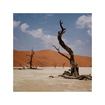 NYOS - GROWL - LP