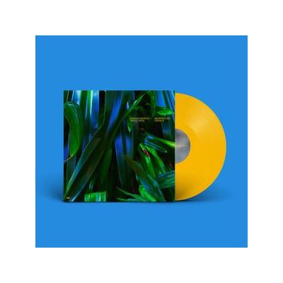 CHKHEIDZE, ANUSHKA / LIPPOK, ROBERT - UNCONTROLLABLE THOUGHTS (YELLOW COLORED) - LP