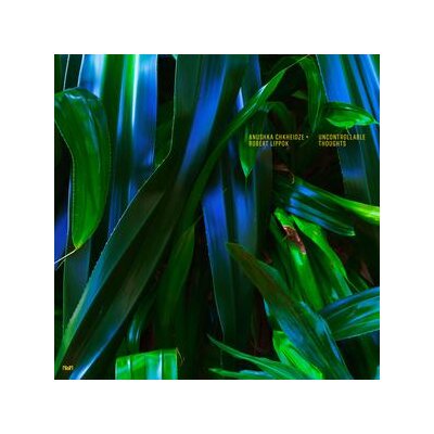 CHKHEIDZE, ANUSHKA / LIPPOK, ROBERT - UNCONTROLLABLE THOUGHTS - CD