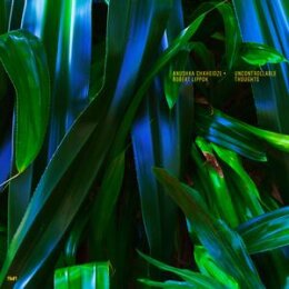 CHKHEIDZE, ANUSHKA/ROBERT LIPPOK - UNCONTROLLABLE...