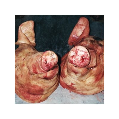 ARMAND HAMMER & THE ALCHEMIST - HARAM - CD