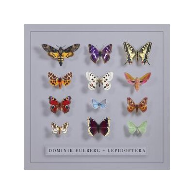 EULBERG, DOMINIK - LEPIDOPTERA - CD