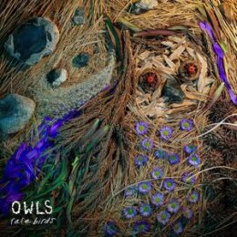OWLS - RARE BIRDS - LTD EDITION - LP