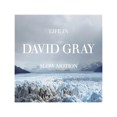GRAY, DAVID - LIFE IN SLOW MOTION -20TH ANNIVERSARY EDITION- - LP