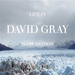 GRAY, DAVID - LIFE IN SLOW MOTION -20TH ANNIVERSARY...