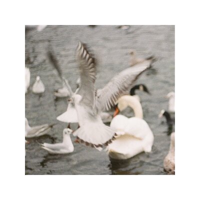 SEA OLEENA - WEAVING A BASKET (LEAF GREEN VINYL) - LP