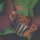 COFFEY, DENNIS - FINGER PICKIN GOOD - CD