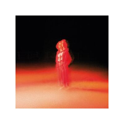 PRIDDY, KATHERINE - THESE FRIGHTENING MACHINES - CD