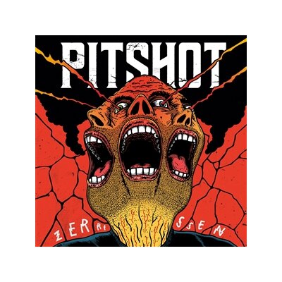 PITSHOT - ZERRISSEN - LP