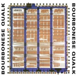 BOURBONESE QUALK - MY GOVERNMENT IS MY SOUL - LP