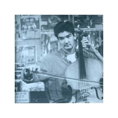 MAGNETIC FIELDS, THE - 69 LOVE SONGS: VOLUME 2 - CD