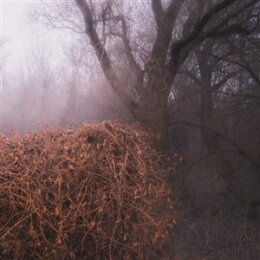 DEVILS TRADE, THE - NINCS SZENNYEZETLEN SZÉP - CD