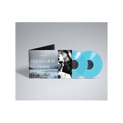 GRAY, DAVID - LIFE IN SLOW MOTION -DELUXE 20TH ANNIVERSARY EDITION- - LP