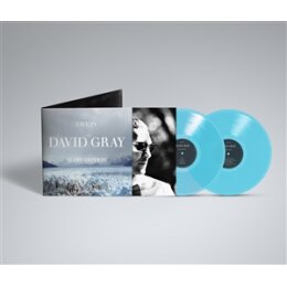 GRAY, DAVID - LIFE IN SLOW MOTION -DELUXE 20TH...