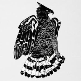 ALPHA STEPPA / NAI-JAH - CROWNED EAGLE - CD