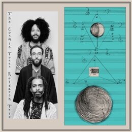 COSMIC TONES RESEARCH TRIO, THE - THE COSMIC TONES...