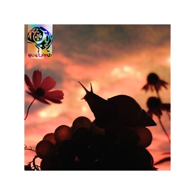 NO JOY - BUGLAND - LP