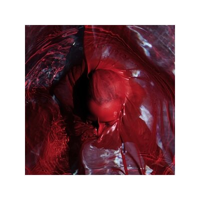 BLACKWATER HOLYLIGHT - NOT HERE NOT GONE - CD