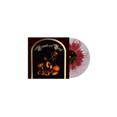 FAETOOTH - REMNANTS OF THE VESSEL - LP