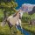 TROST, HEATHER - PETRICHOR - LP